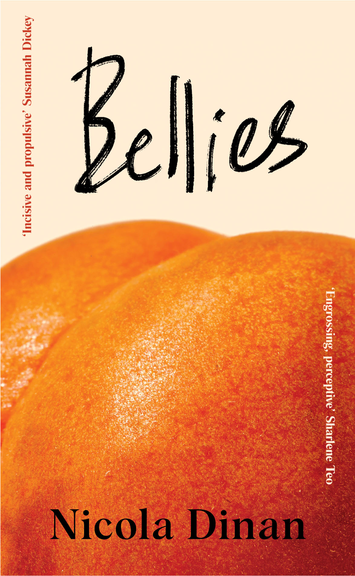 Disappoint Me: The Highly Anticipated New Novel From the Author of BELLIES